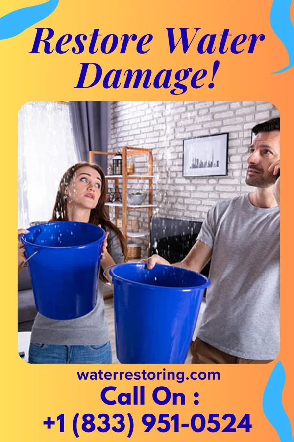 water restoration Hawk Water Mitigation Contractors Nashville