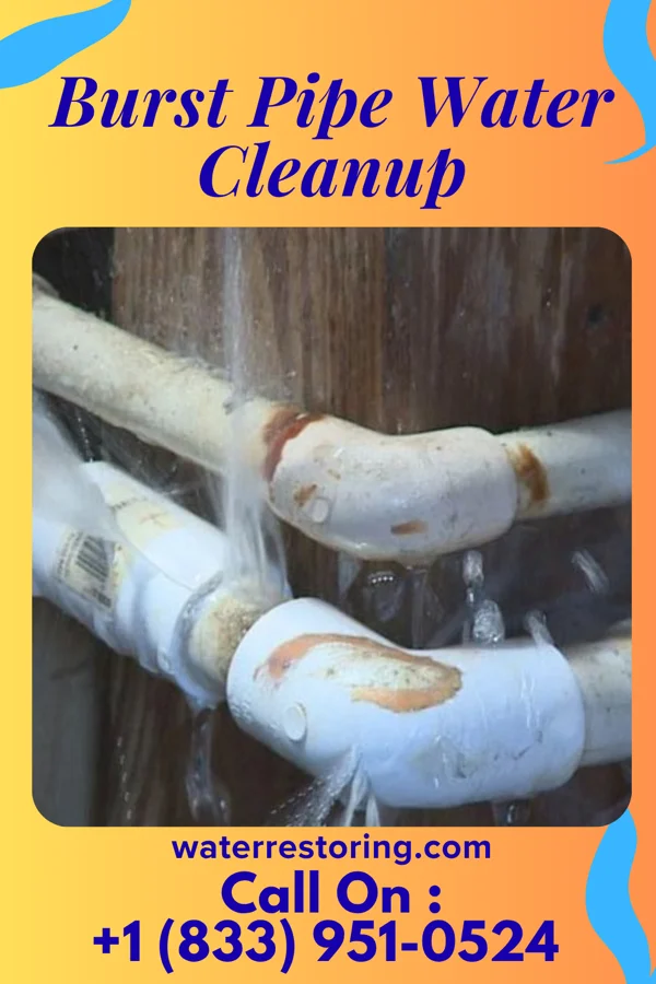 Burst Pipe Water Cleanup in Nashville, MI