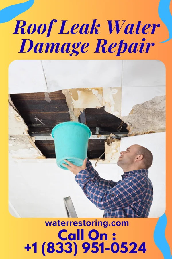 Roof Leak Water Damage Repair in Nashville, MI