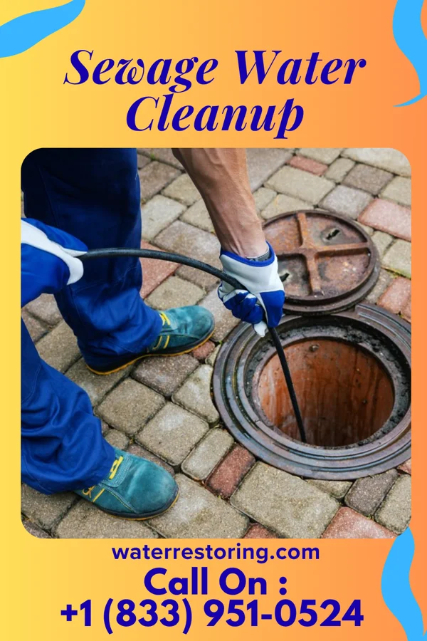 Sewage Water Cleanup in Nashville, MI