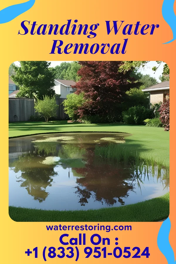 Standing Water Removal in Nashville, MI